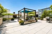 Inviting outdoor courtyard with stylish pergola, lush greenery, modern seating, and barbecue grills for delightful gatherings.
