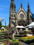 Vibrant outdoor flower market in front of a stunning Gothic-style cathedral under a clear blue sky, located in lively Mount Vernon.