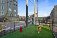 Pet-friendly outdoor space with vibrant artificial grass, secure fencing, and a happy dog enjoying the area, perfect for urban living.