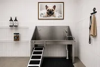 Modern pet grooming station with a stylish stainless steel wash basin, ramp, and dog-friendly decor, perfect for luxury apartments.