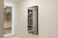 Echelon Fitness Mirror