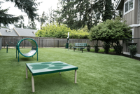 Explore Stonegate Apartments Inviting dog park with agility equipment and seating surrounded by lush greenery.