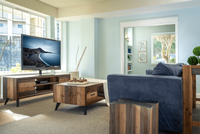 Inviting living room with modern design, featuring a plush blue sofa, rustic wood furniture, large windows, and a sleek flat-screen TV.