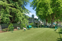 Spacious on-site dog park with agility features and shaded seating.