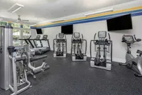 Modern gym with state-of-the-art cardio machines and strength training equipment.