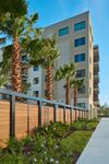 Luna at Viera community building exterior with palm trees outside