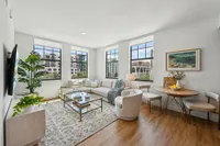 Living room with lots of windows
