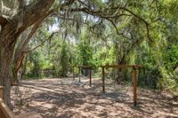 Hammock area under the trees