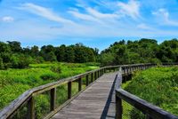 Boardwalk in Port Royal, SC