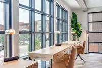 Bright workspace with large windows, featuring wooden desks and modern lighting. A tall plant adds a touch of greenery to the room.