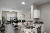 Open model kitchen overlooking living room with black couch