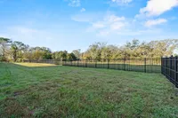 dog park