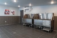 Modern pet washing station with sleek stainless steel tubs and chic tile flooring, complemented by quirky dog artwork on the walls.