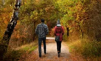 A couple walking along a serene forest path surrounded by vibrant autumn foliage.