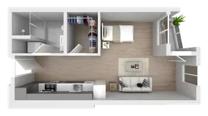Modern 1-bedroom apartment floor plan featuring an open-concept living area, sleek kitchen, cozy bedroom with a spacious closet, and a luxurious bathroom.