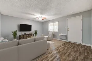 Jr 1 Bedroom Kitchenette