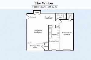 The Willow