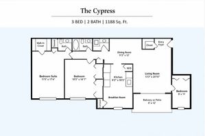 The Cypress