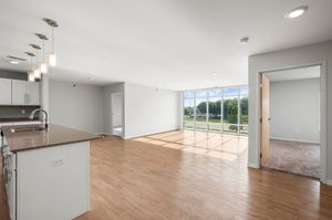 Modern open-concept apartment with sleek kitchen island, large windows, and inviting hardwood floors.