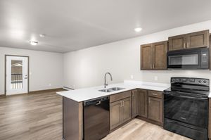 Modern apartment kitchen with sleek dark cabinets, stainless steel appliances, and an open-concept layout leading to a bright living area.