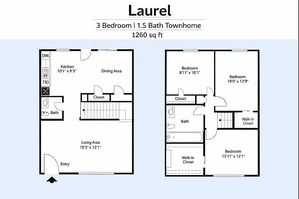 Laurel