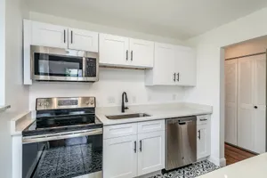 Kitchen Picture 1