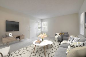 1x1 Living Room