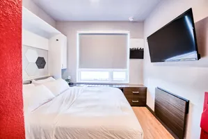 Queen-sized murphy bed in a micro-unit modern apartment