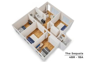 The Sequoia 3D floor plan showcasing 4 bedrooms and 1 bathroom with a modern kitchen and bright living area.