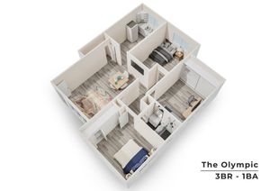 The Olympic 3-bedroom, 1-bath floor plan featuring a cozy living area, modern kitchen, and workspace, highlighting a compact and functional design.