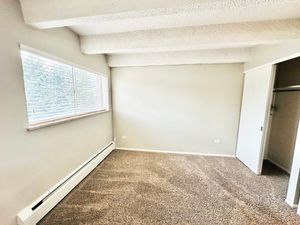 Bright bedroom with a large window, plush carpet, and white walls featuring a built-in closet.