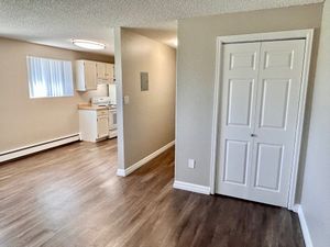 Bright apartment interior with a modern kitchen and hardwood floors.