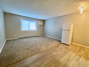 Inviting apartment interior with cozy carpeted area, elegant flooring, bright natural light from large window, and modern appliances.