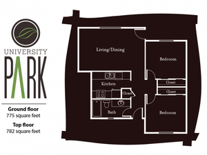 layout