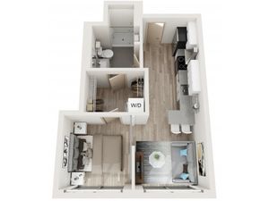 1 bedroom floorplan
