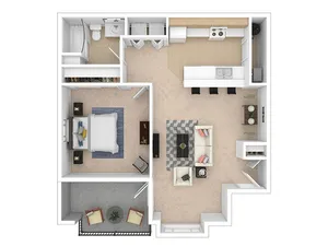 1 Bed 1 Bath