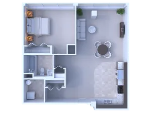 1 Bedroom / 1 Bathroom - 908