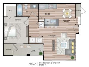 Areca
