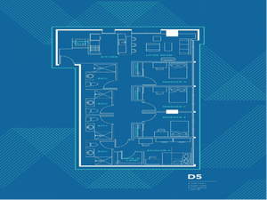 d5