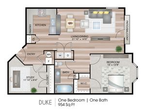Duke