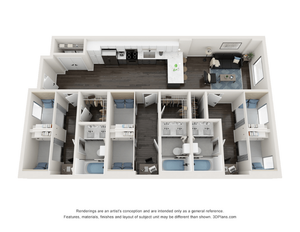 C2-SHARED OPT 1