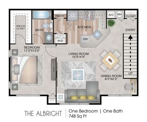 The Albright