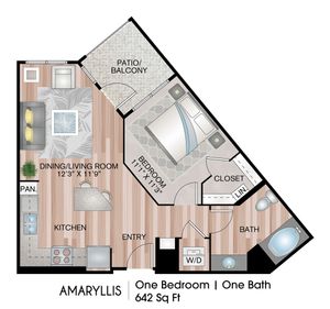 Amaryllis