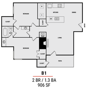 B1R