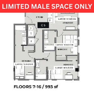 Contemporary floor plan featuring multiple large windows, spacious living areas, and modern kitchen, designed across floors 7-16 with 993 sq ft.