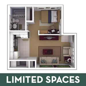 The Ivy Studio - Limited Spaces