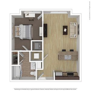 1 Bedroom Floorplan
