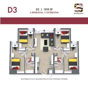 D3