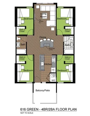 616 Green 4 Bed 2 Bath Standard Floorplan