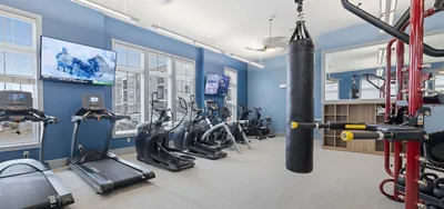 Bright and modern gym featuring state-of-the-art exercise equipment, including treadmills, ellipticals, and a punching bag, under sleek lighting with large windows.